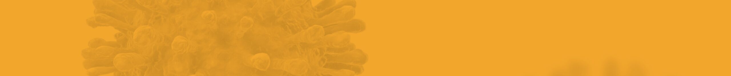 decoartion image background